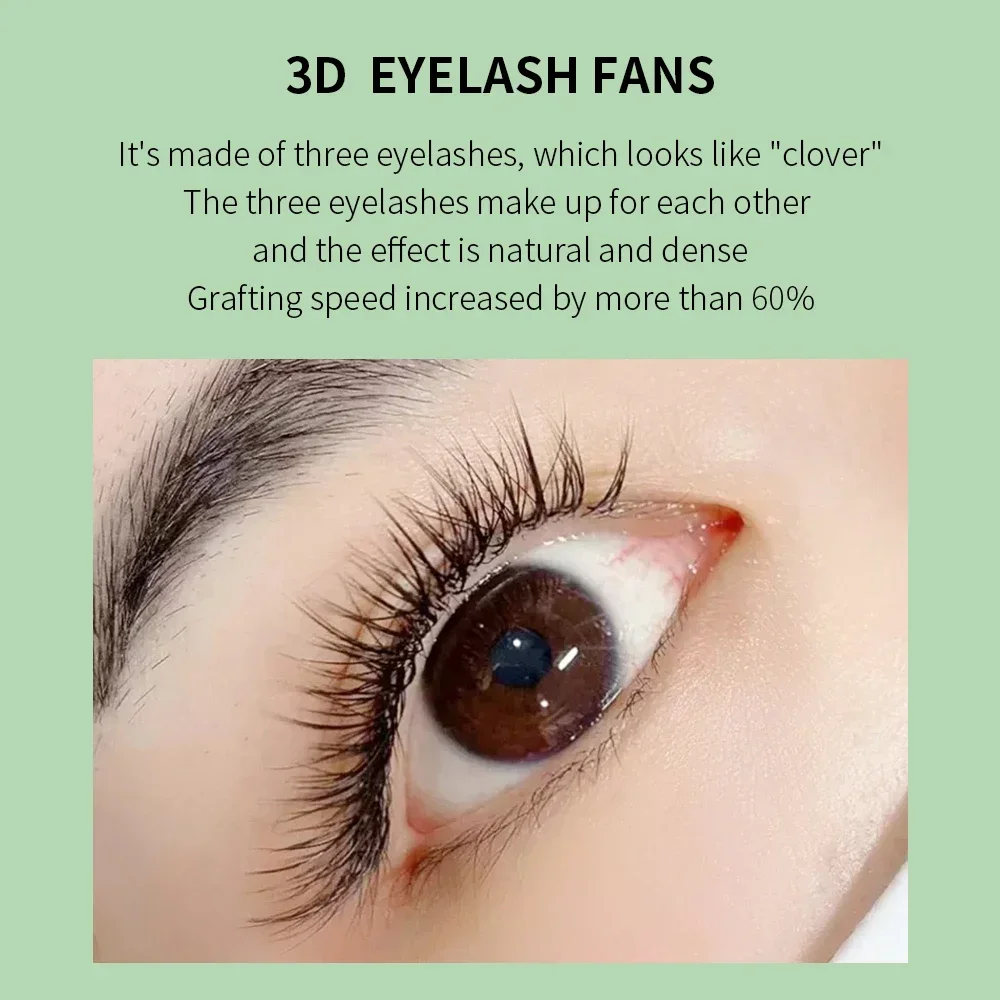 GLAMLASH 3D W трехядерная форм – обзор и цена Eyelash Extensions Classic